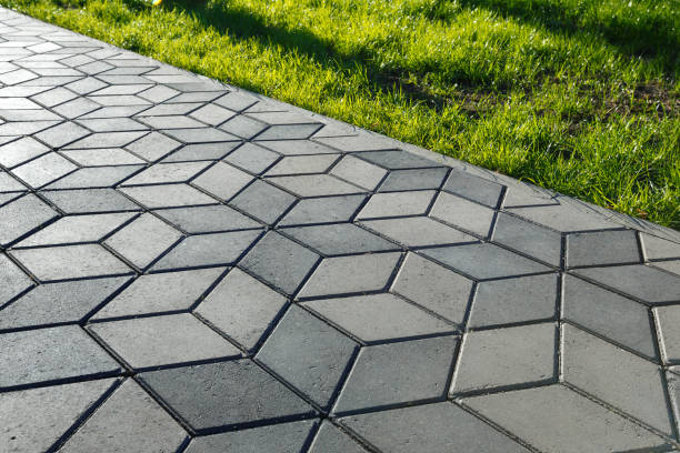 Best Professional Driveway Pavers  in East Lake Orient Park, FL