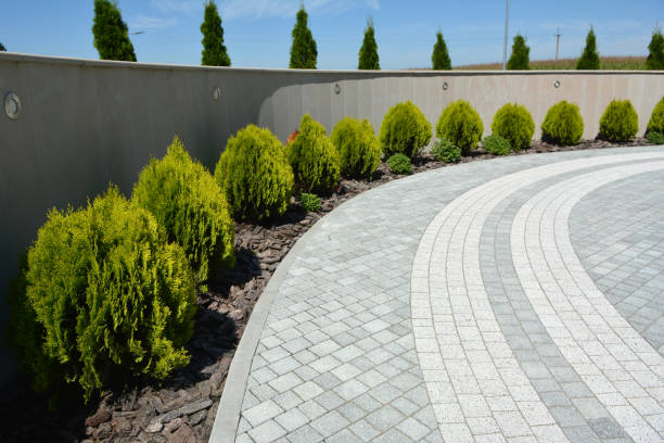 Best Cobblestone Driveway Pavers  in East Lake Orient Park, FL